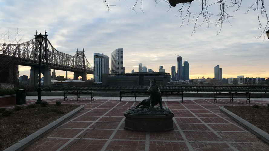 NYC_2020-01-27 07-45-06_P1070734